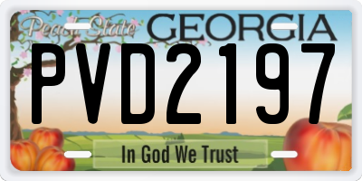 GA license plate PVD2197