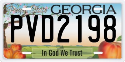 GA license plate PVD2198