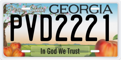 GA license plate PVD2221