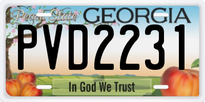GA license plate PVD2231