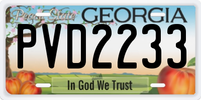 GA license plate PVD2233