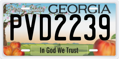 GA license plate PVD2239