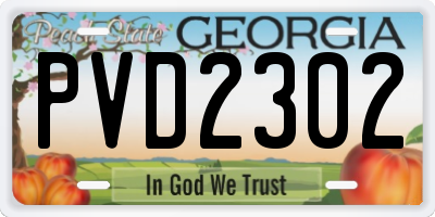 GA license plate PVD2302