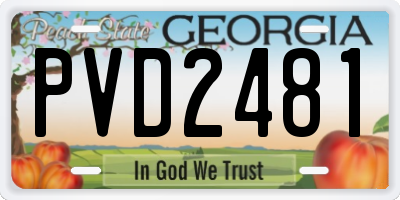 GA license plate PVD2481