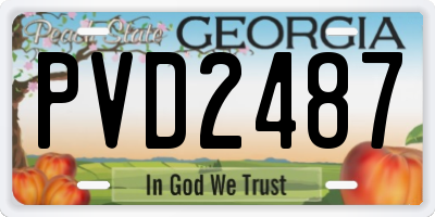GA license plate PVD2487