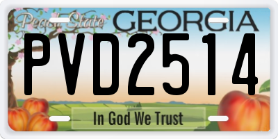 GA license plate PVD2514
