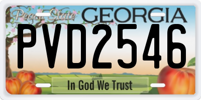 GA license plate PVD2546