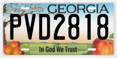 GA license plate PVD2818