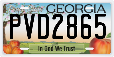 GA license plate PVD2865