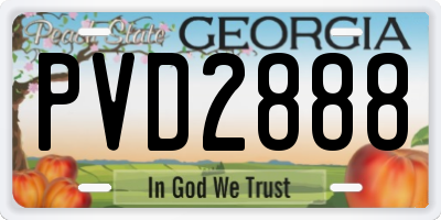 GA license plate PVD2888
