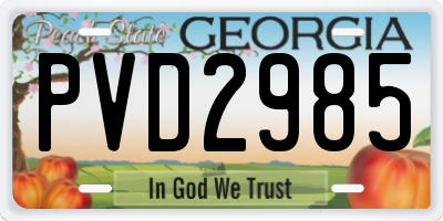 GA license plate PVD2985