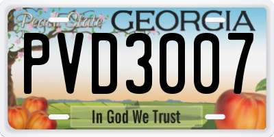 GA license plate PVD3007