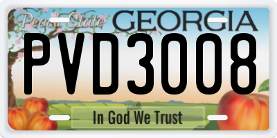 GA license plate PVD3008