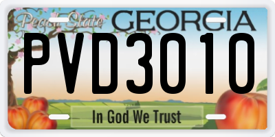 GA license plate PVD3010