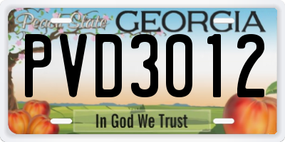 GA license plate PVD3012