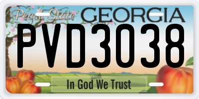 GA license plate PVD3038