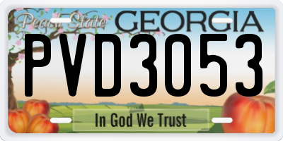 GA license plate PVD3053