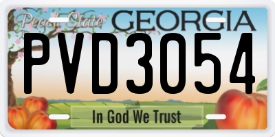 GA license plate PVD3054