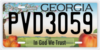 GA license plate PVD3059