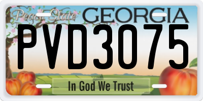 GA license plate PVD3075
