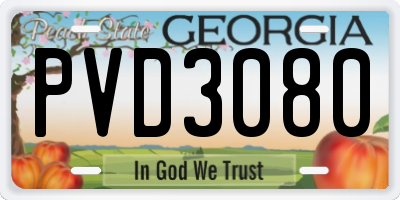 GA license plate PVD3080