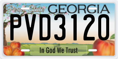 GA license plate PVD3120