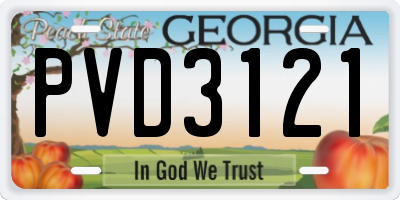 GA license plate PVD3121