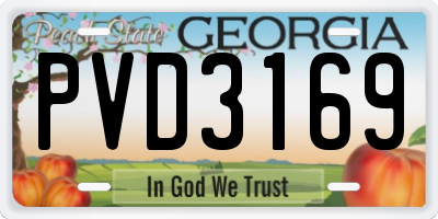 GA license plate PVD3169