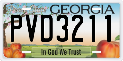 GA license plate PVD3211