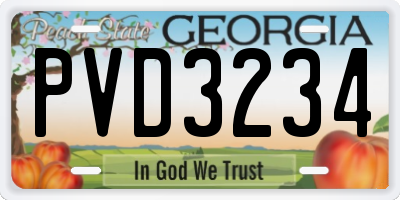 GA license plate PVD3234