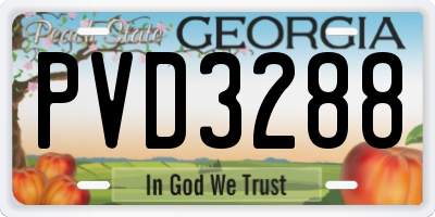 GA license plate PVD3288