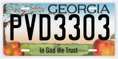 GA license plate PVD3303