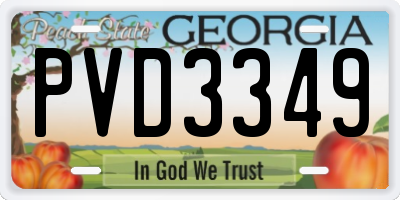 GA license plate PVD3349