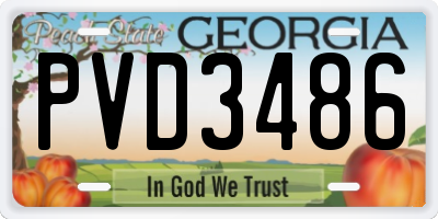 GA license plate PVD3486
