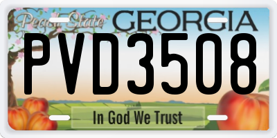 GA license plate PVD3508