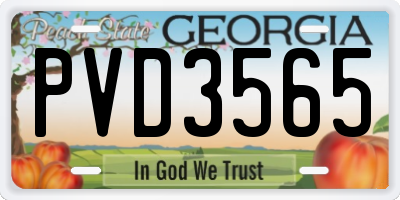 GA license plate PVD3565