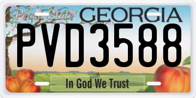 GA license plate PVD3588
