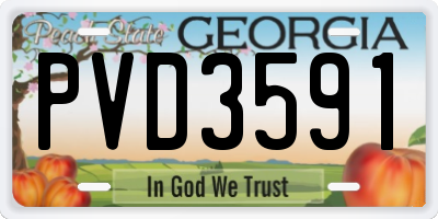 GA license plate PVD3591