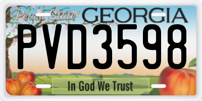 GA license plate PVD3598