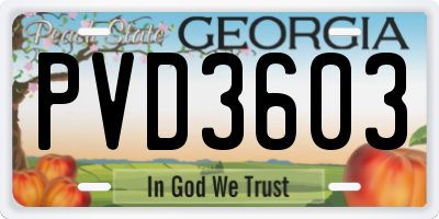 GA license plate PVD3603