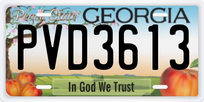 GA license plate PVD3613