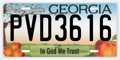 GA license plate PVD3616