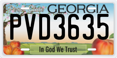 GA license plate PVD3635