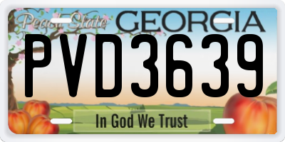 GA license plate PVD3639