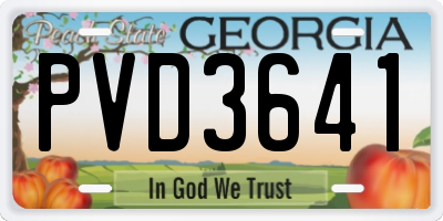 GA license plate PVD3641