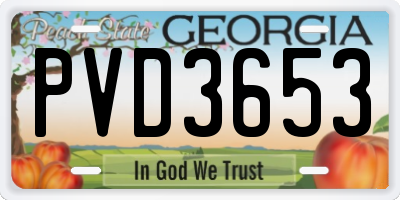 GA license plate PVD3653