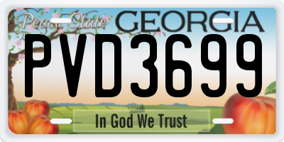 GA license plate PVD3699