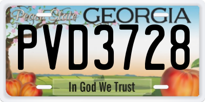 GA license plate PVD3728