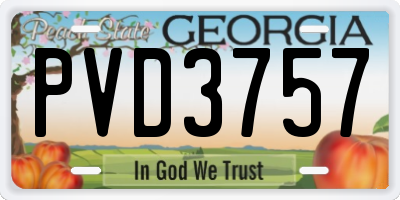 GA license plate PVD3757