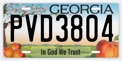 GA license plate PVD3804